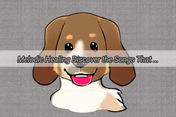 Melodic Healing Discover the Songs That Soothe and Cure Our Furry Companions